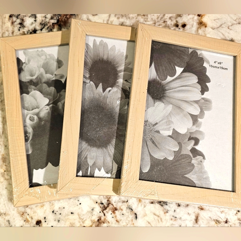 Brand new three 4 x 6 frames